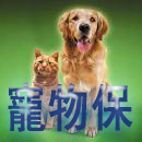 Pet